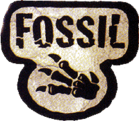 Fossil